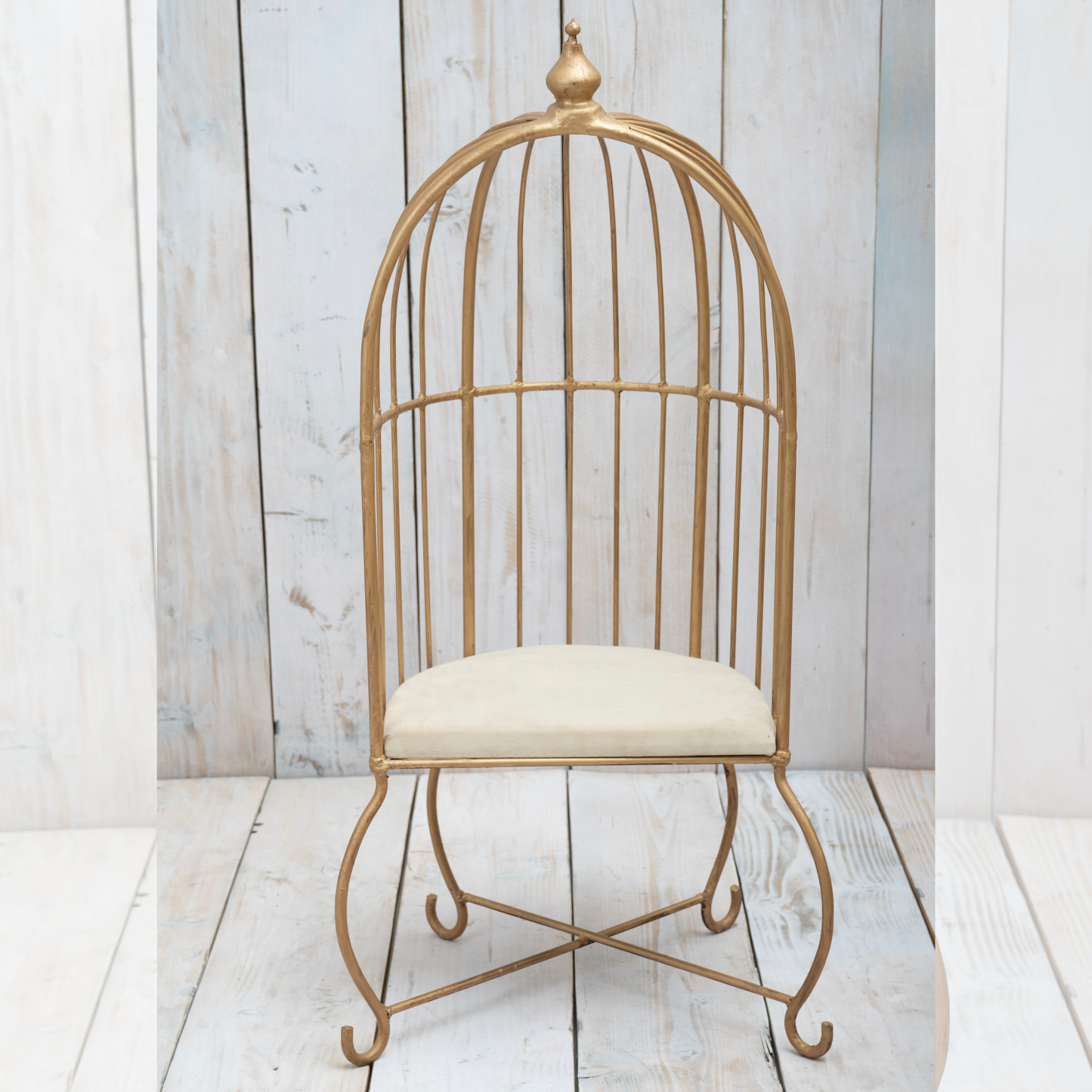 Metal Cage Prop for Toddler Baby Photoshoot