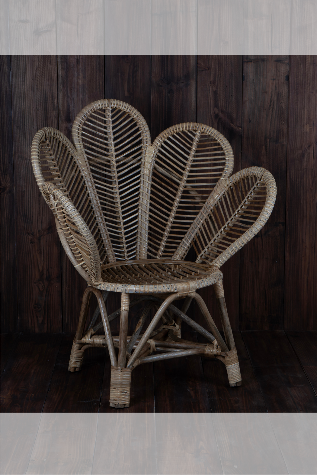 Cane Floral Chair