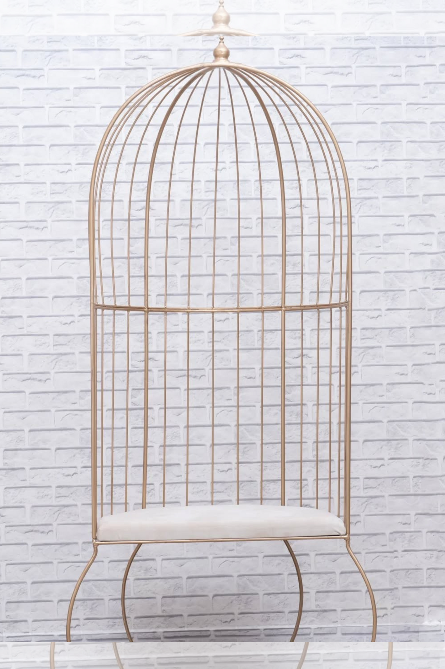 Metal Cage