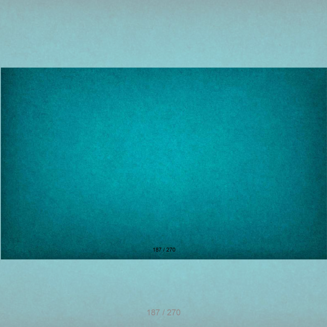 Floor Backdrop 185