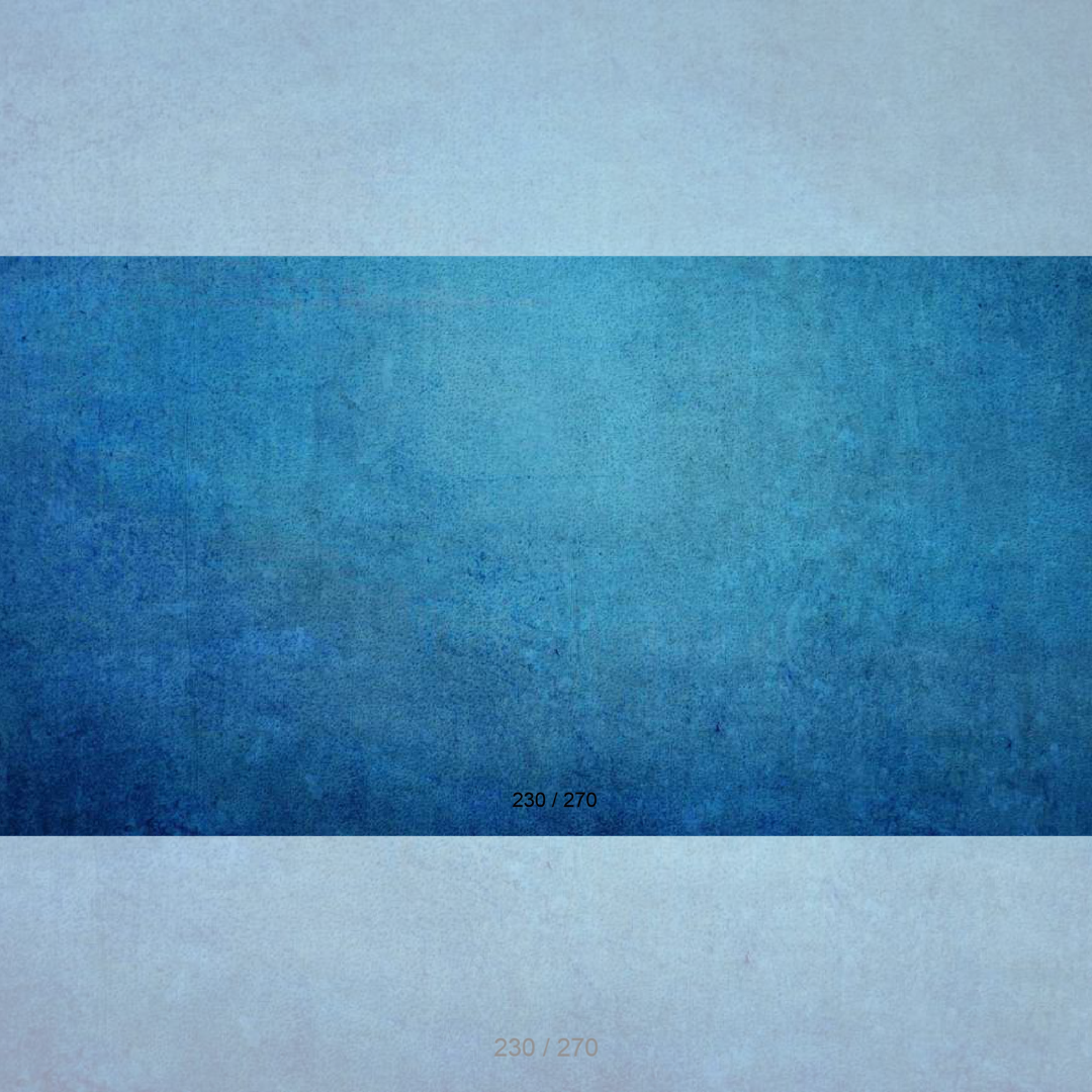 Floor Backdrop 228
