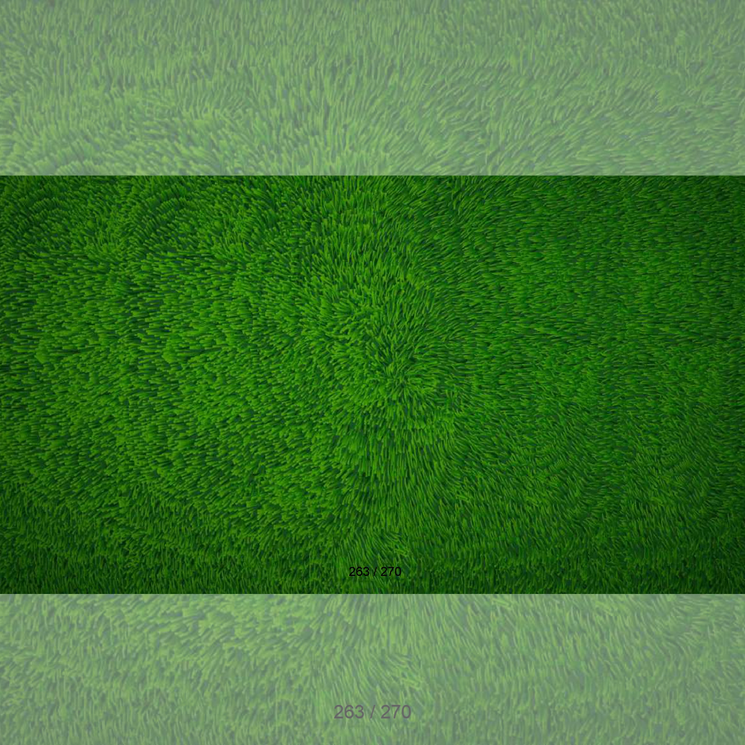Floor Backdrop 261