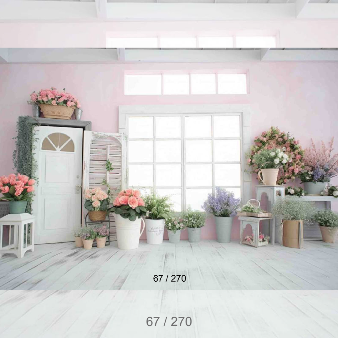 Backdrop 337