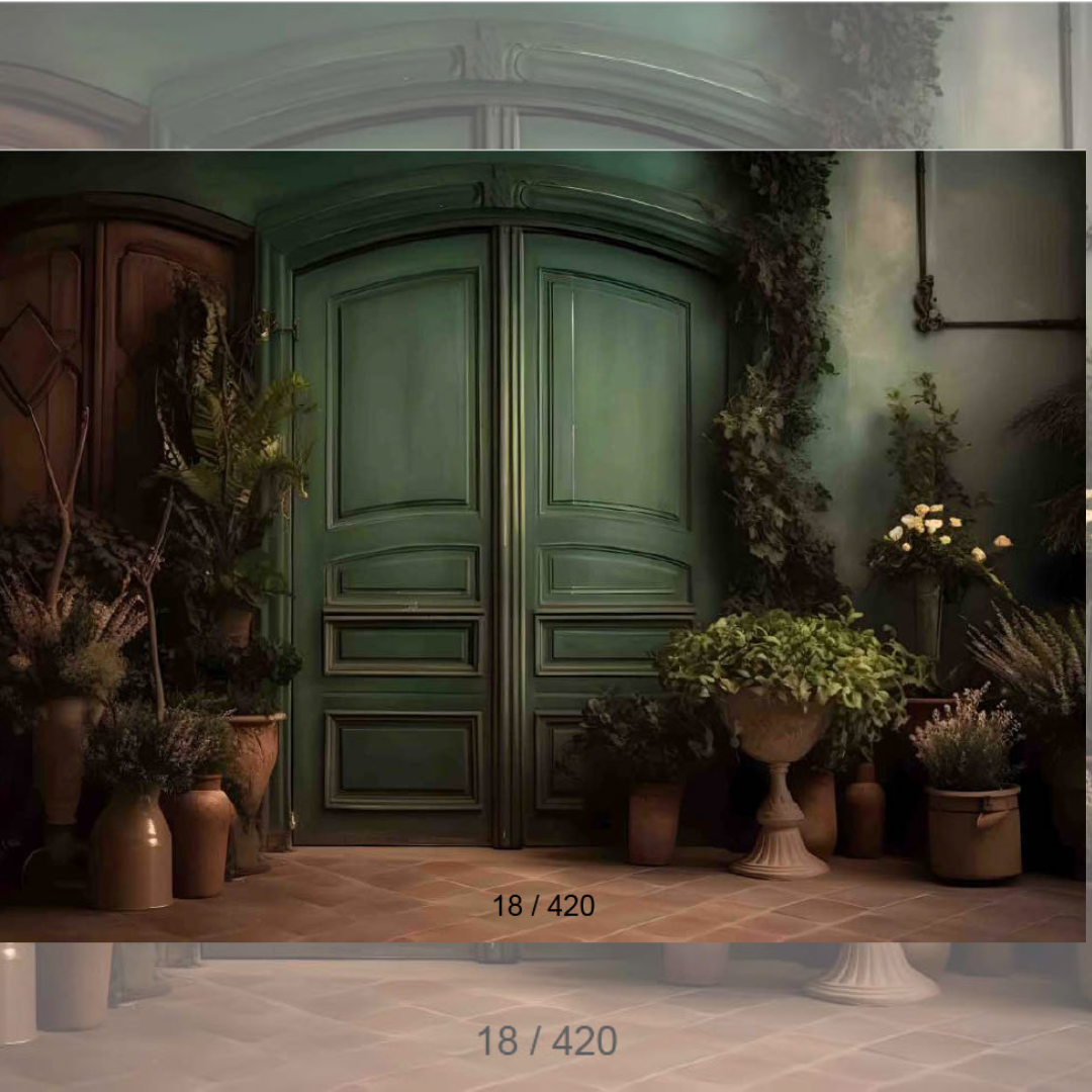 Backdrop 558