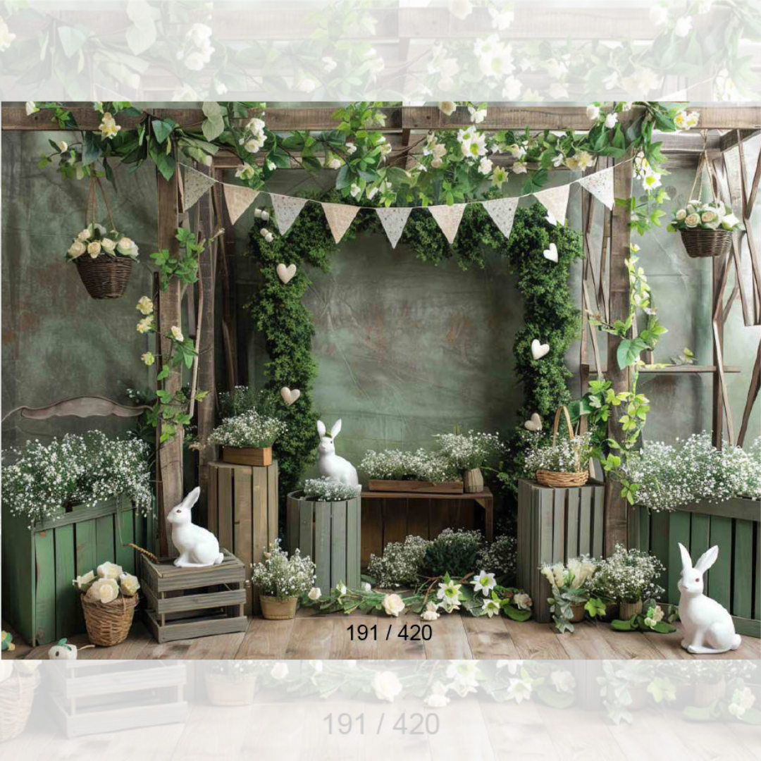 Pre - Birthday Backdrop 731