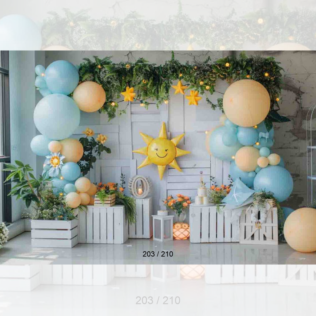 Backdrop 203
