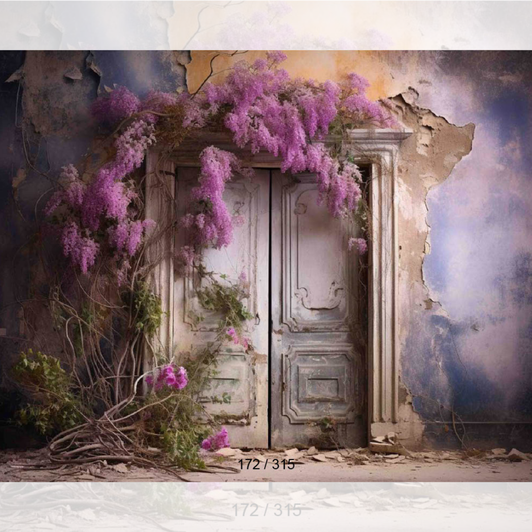 Backdrop 382