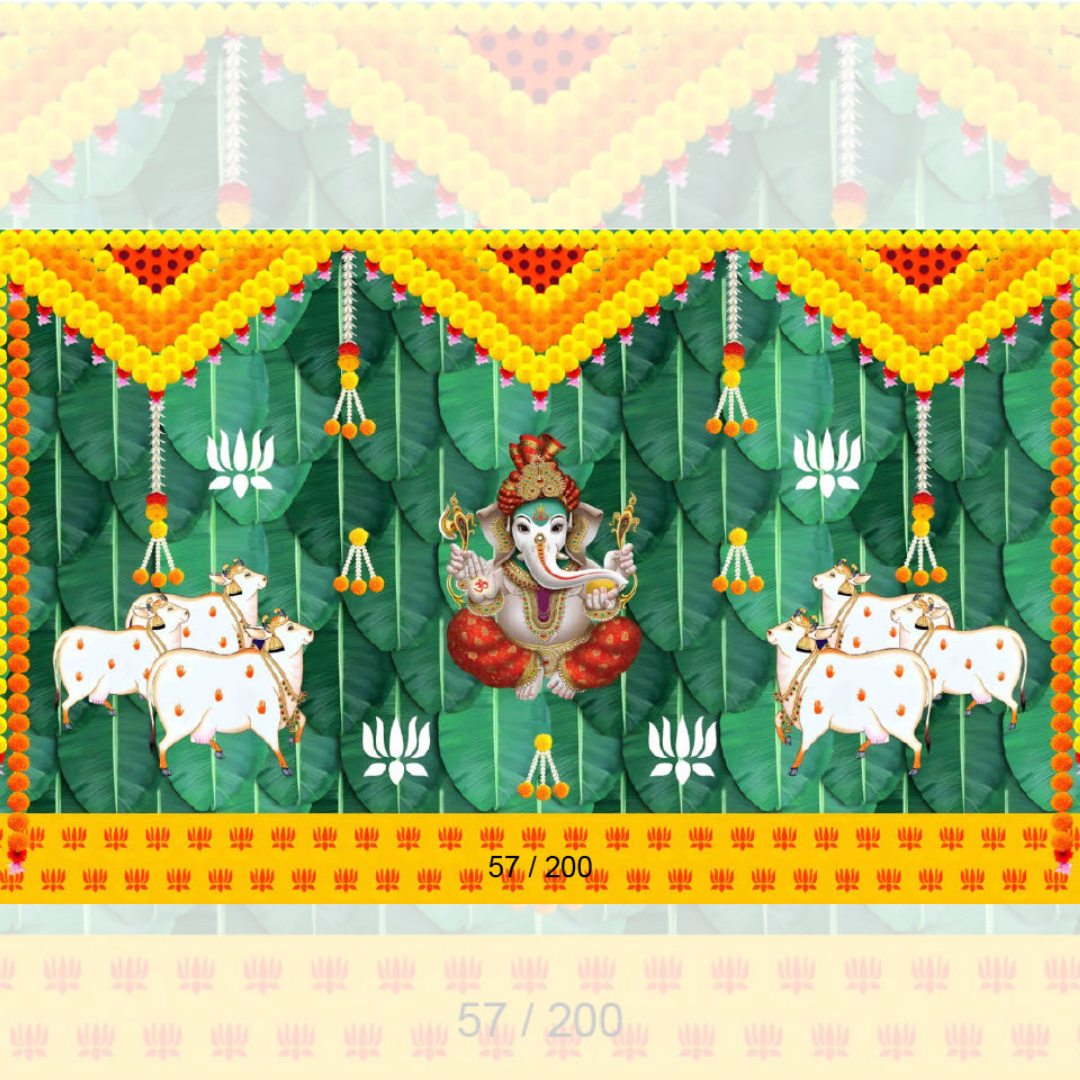 Backdrop 802