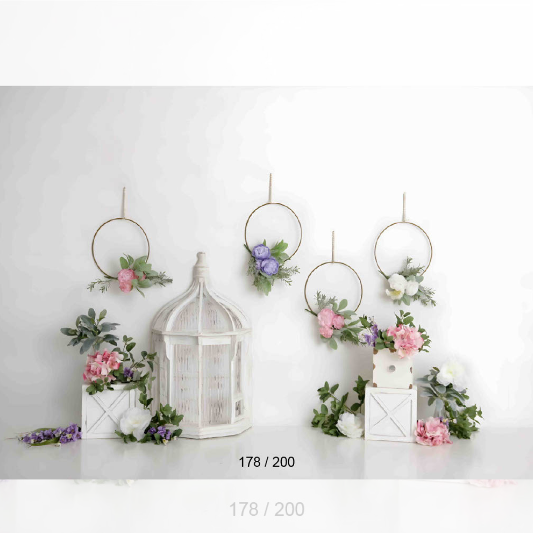 Backdrop 923