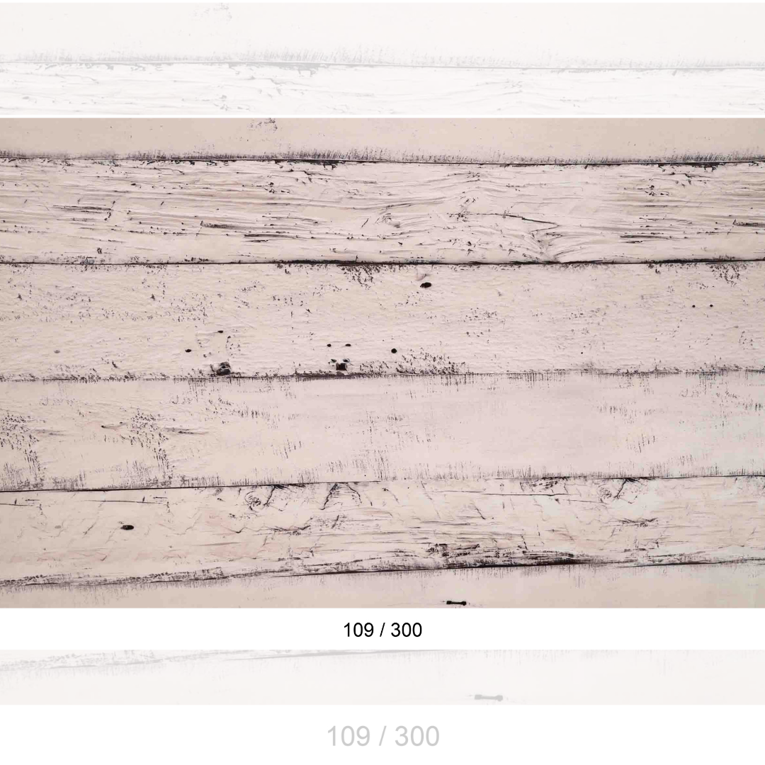Backdrop 1504