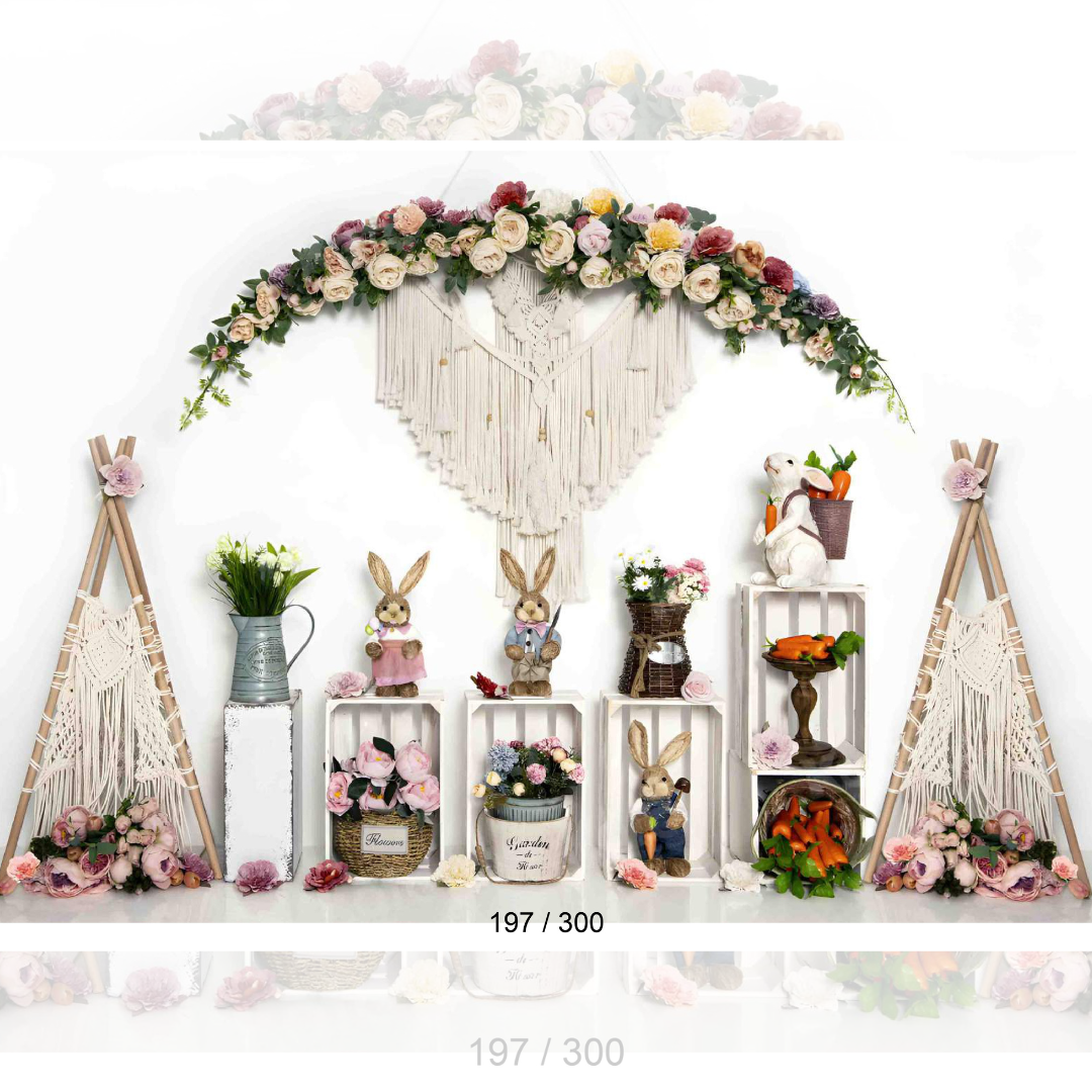 Backdrop 1592