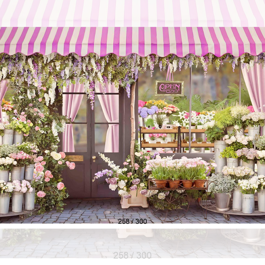 Backdrop 1653