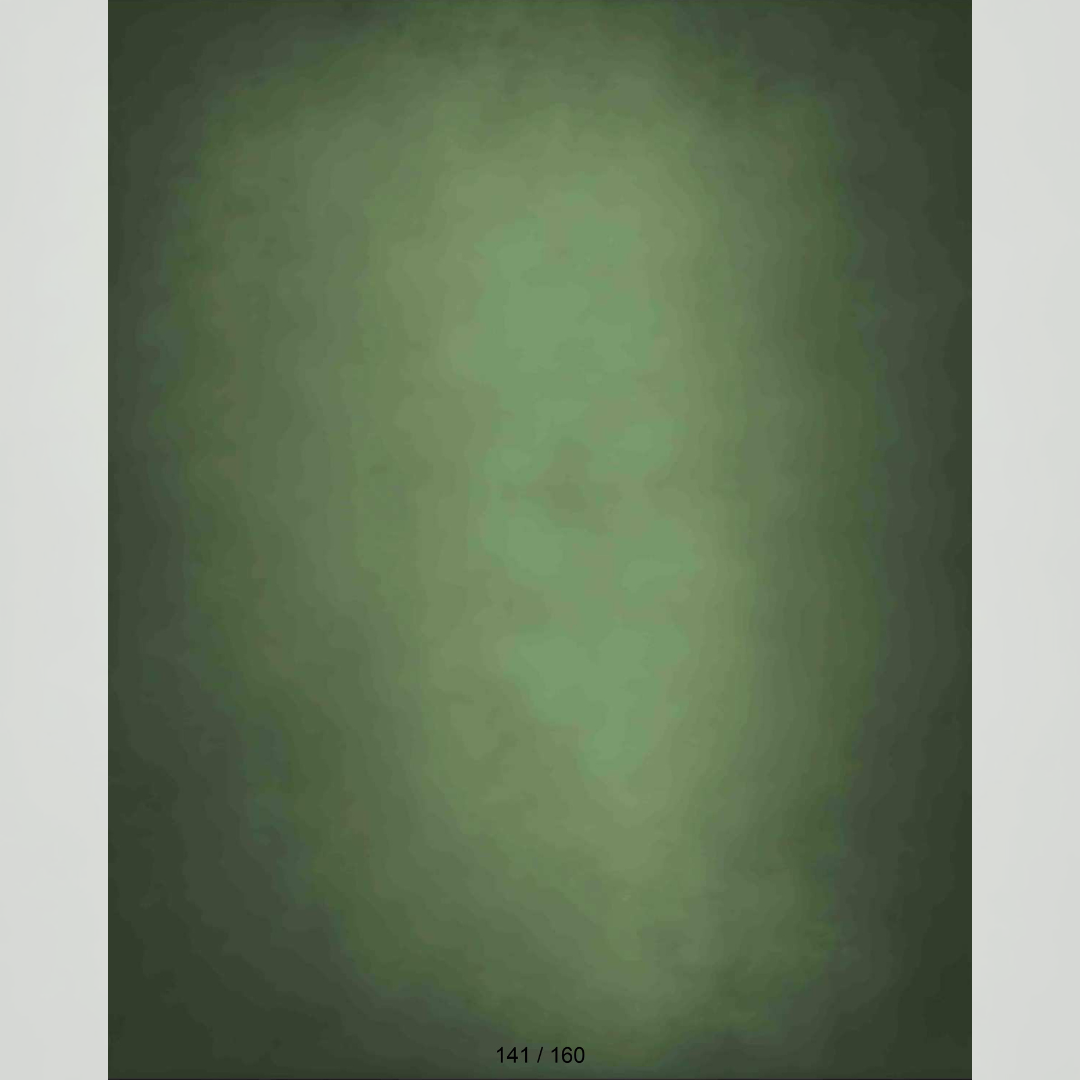 Maternity Backdrop 656