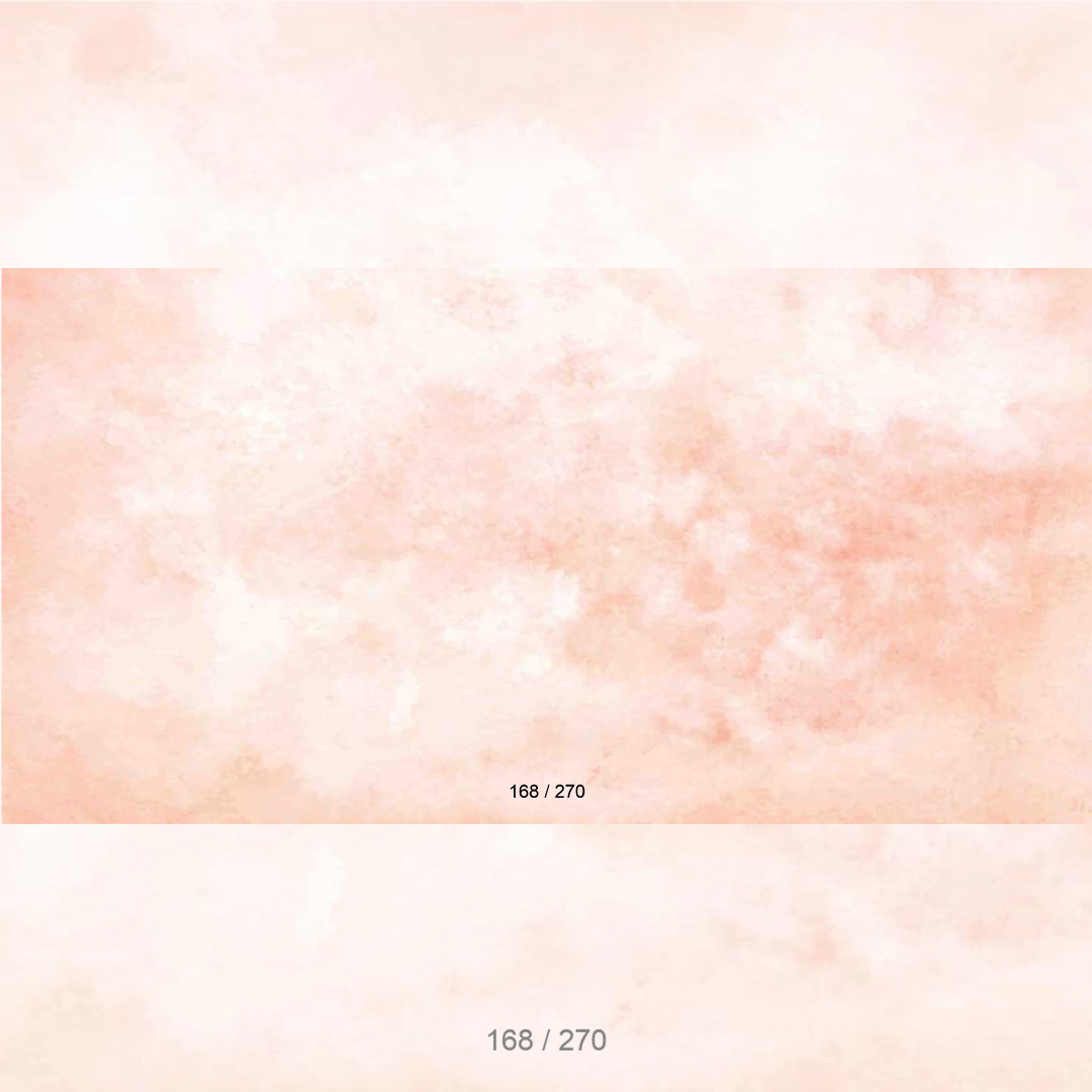 Floor Backdrop 166