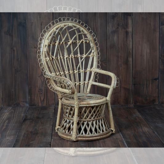 Newborn Peacock Chair