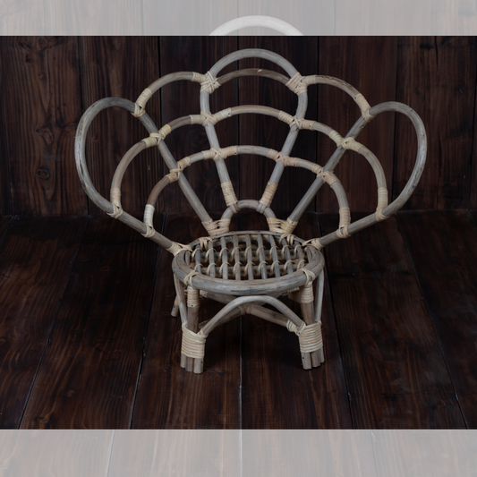 Butterfly Chair