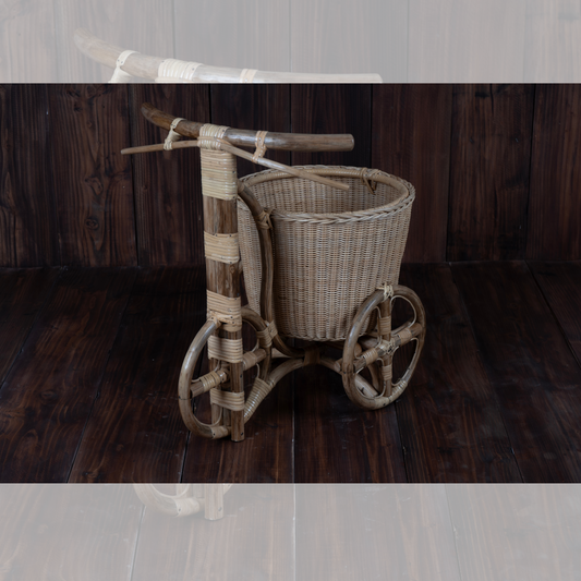 Cane Cycle