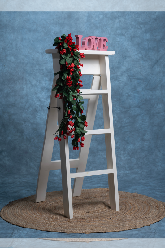 Wooden ladder