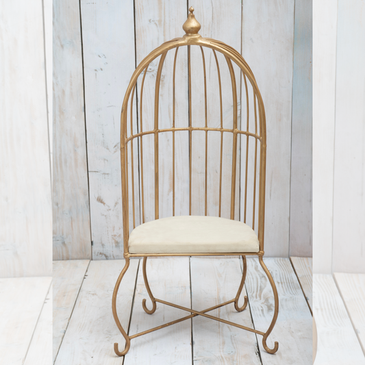 Toddler Metal Cage