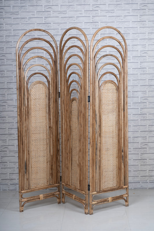 Cane Divider