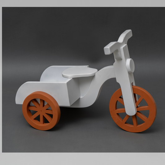 Tri cycle