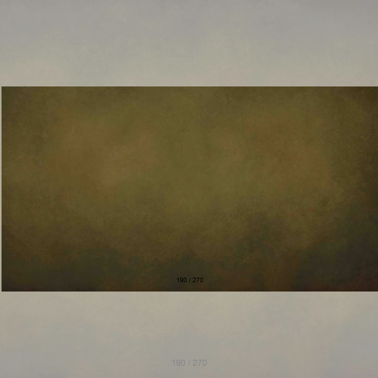 Floor Backdrop 188