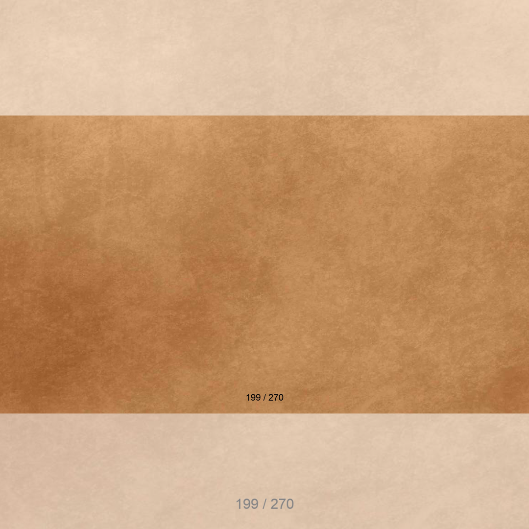 Floor Backdrop 197