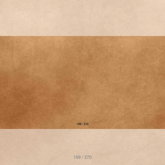 Floor Backdrop 197