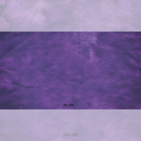 Floor Backdrop 202