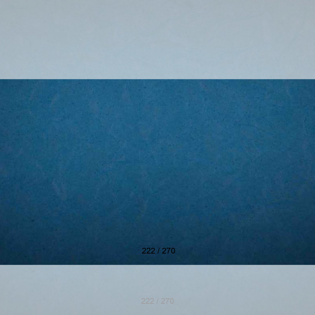 Floor Backdrop 220