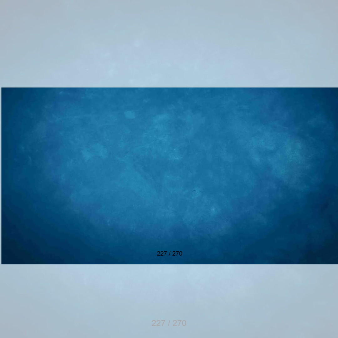 Floor Backdrop 225