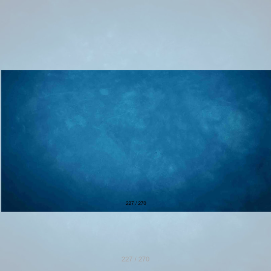 Floor Backdrop 225