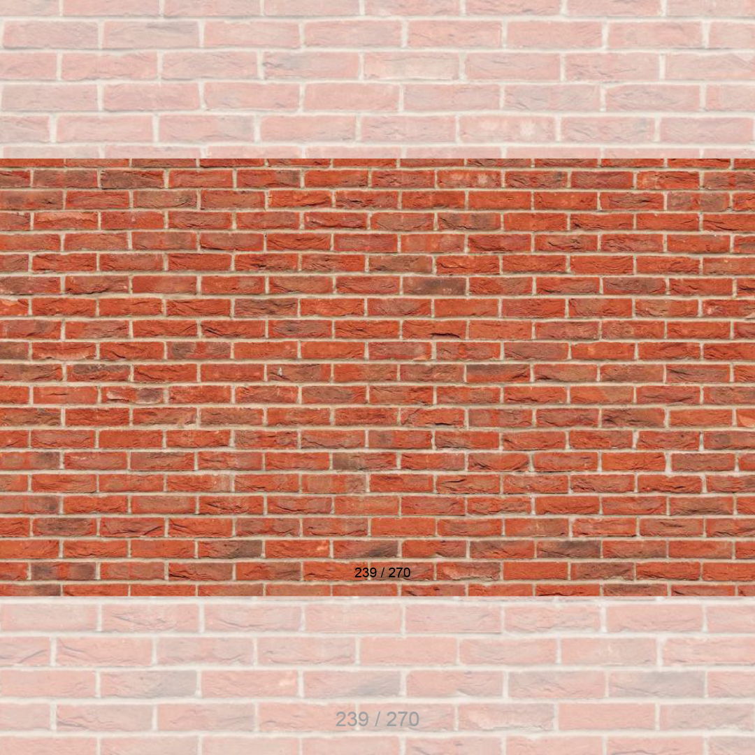 Floor Backdrop 337