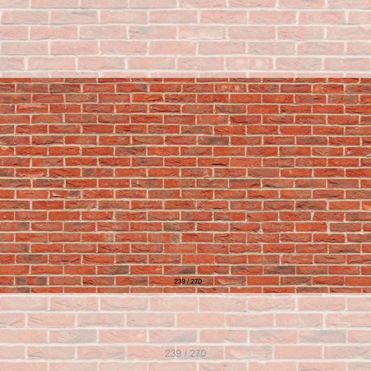 Floor Backdrop 337