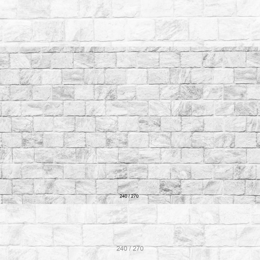 Floor Backdrop 338