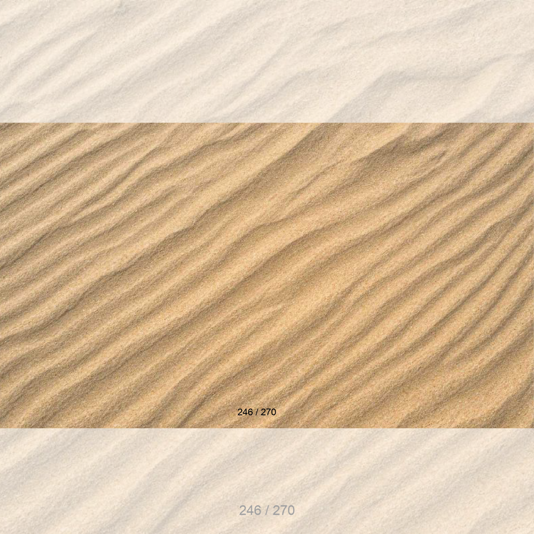 Floor Backdrop 244