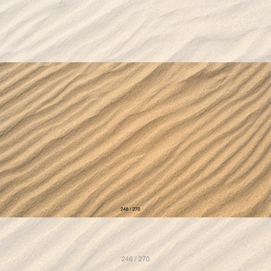 Floor Backdrop 244