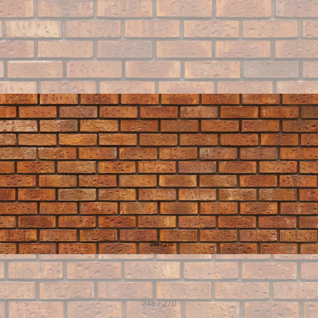 Floor Backdrop 246