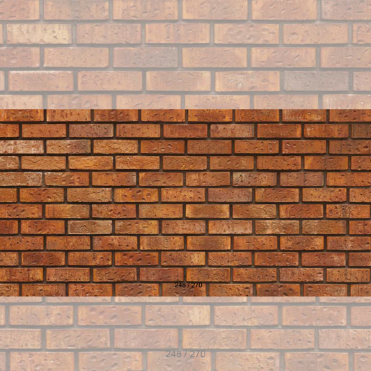 Floor Backdrop 246