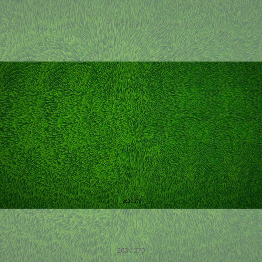 Floor Backdrop 261