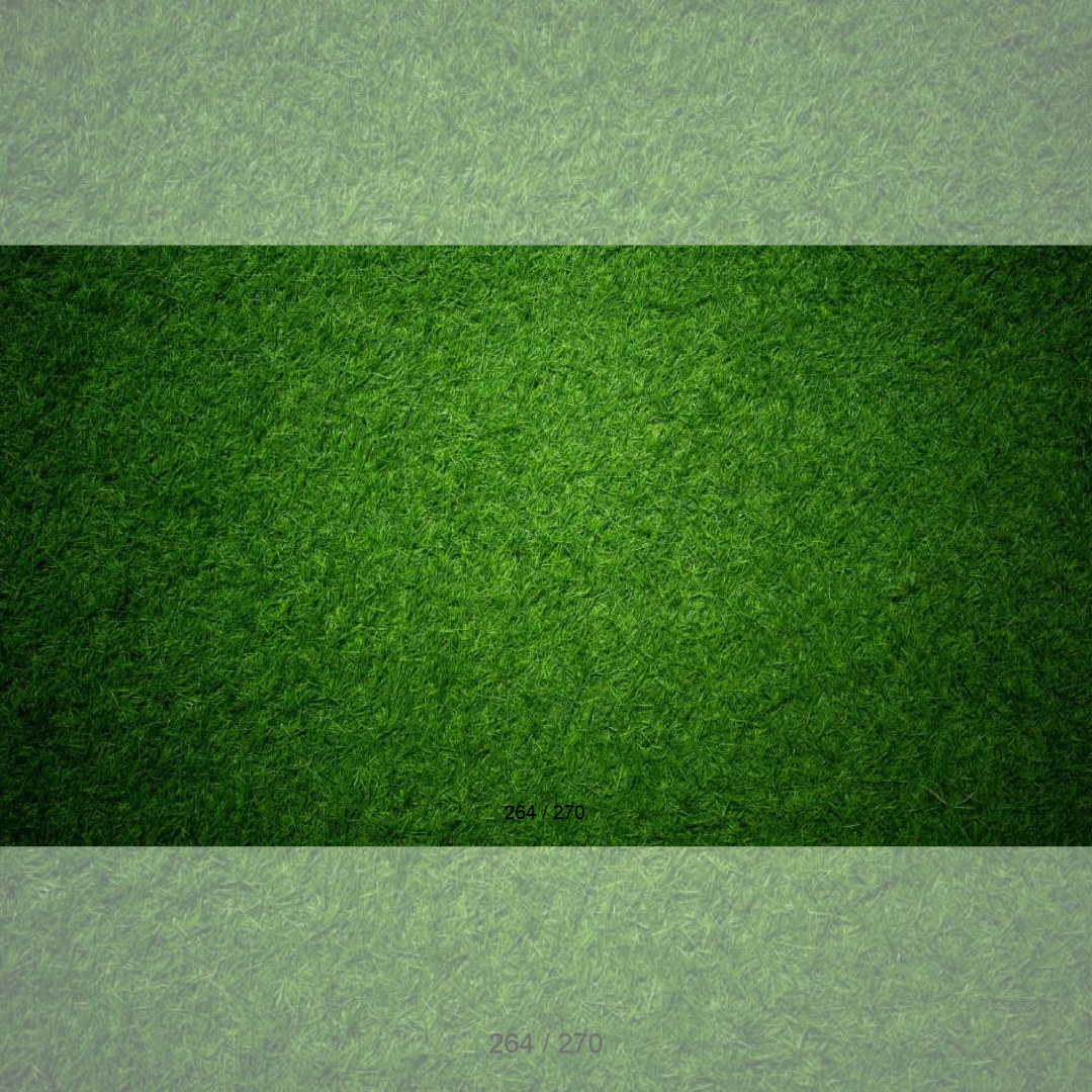 Floor Backdrop 262