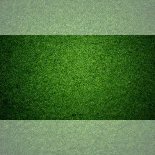 Floor Backdrop 262