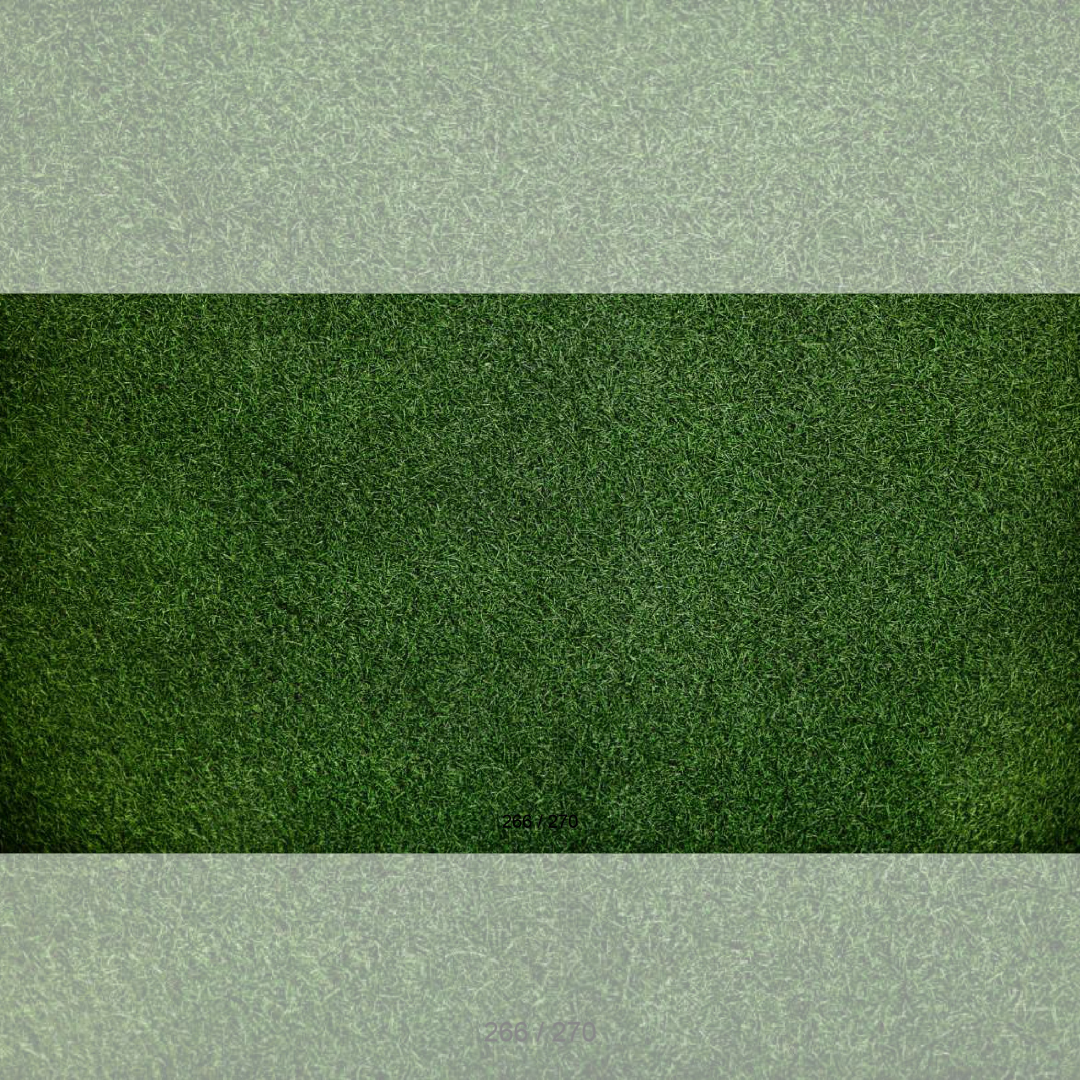 Floor Backdrop 264