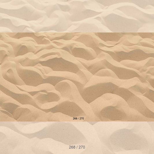 Floor Backdrop 266