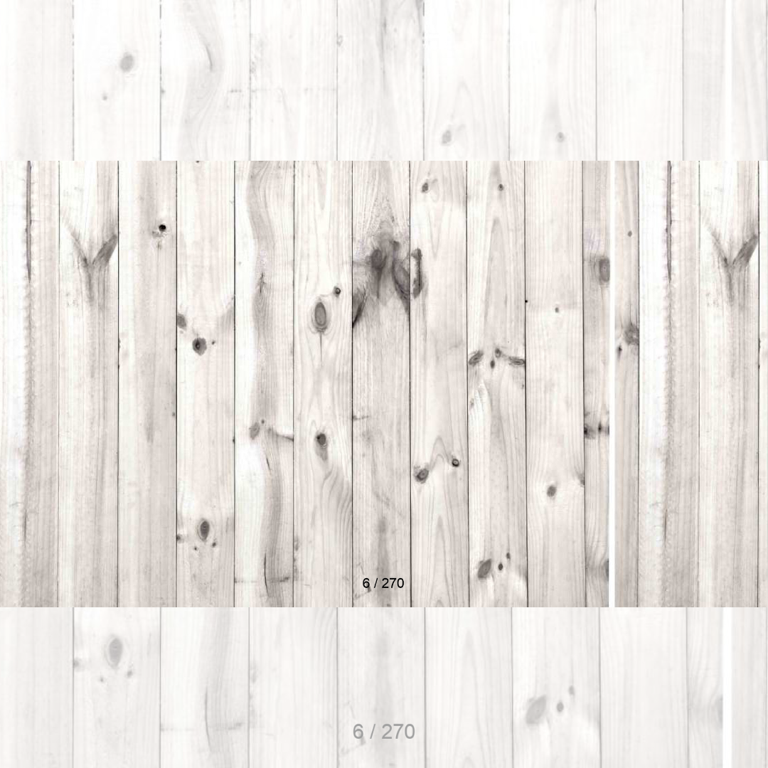 Floor Backdrop 269