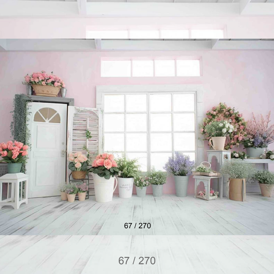 Backdrop 337