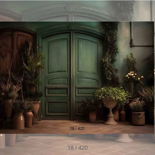 Backdrop 558