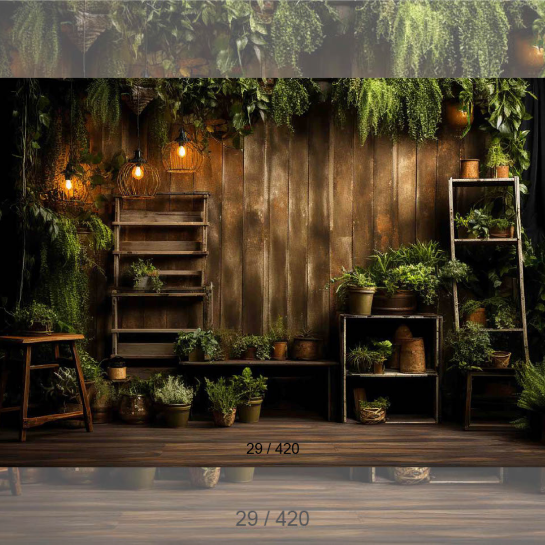 Backdrop 559