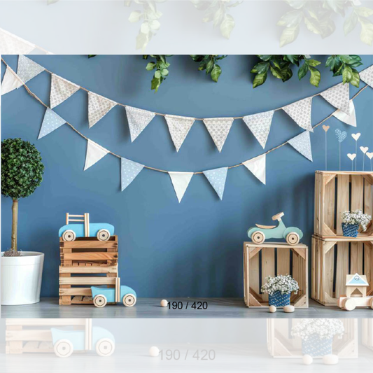 Pre - Birthday Backdrop 730