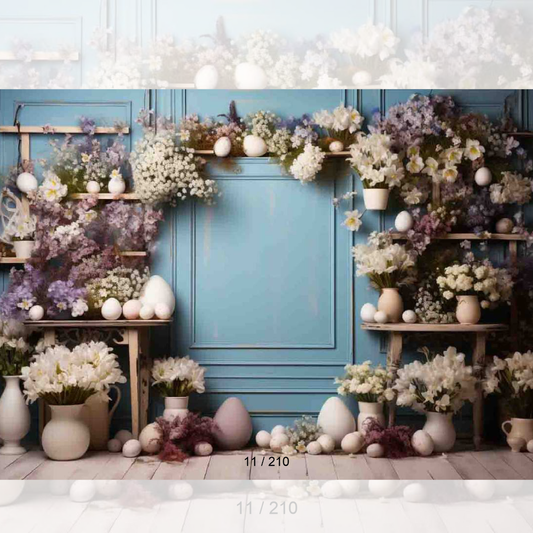 Backdrop 11